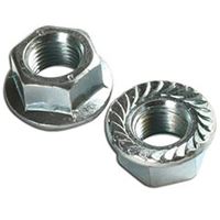 Flange Nut Manufacturer and Supplier in India