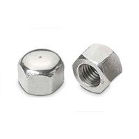 Hex Cap Nut Manufacturer and Supplier in India