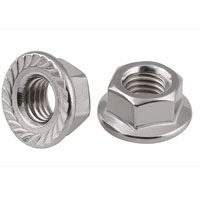 Flange Nut Manufacturer and Supplier in India