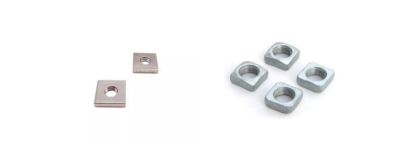 Square Thin Nut Manufacturer Supplier in India